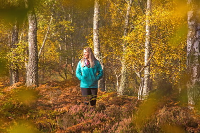 Cairngorms in Autumn image